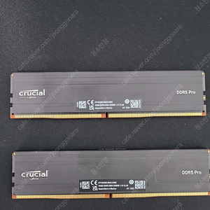 마이크론 Crucial DDR5-5600 Pro 16g