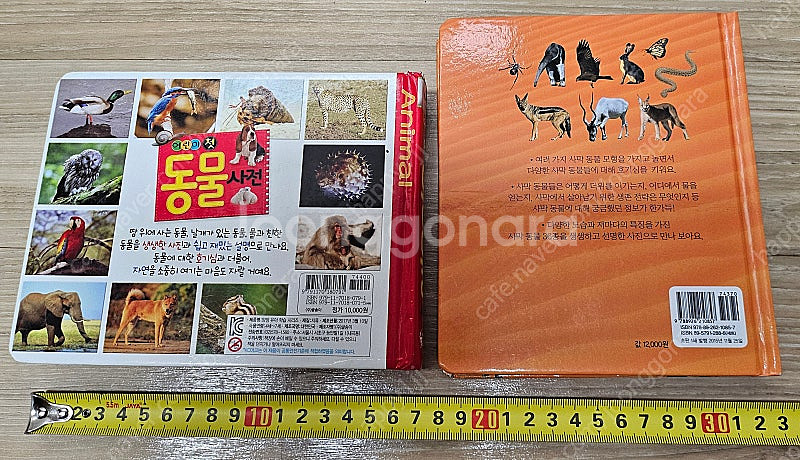 (유아책) 어린이첫동물사전 & 사막동물백과--1
