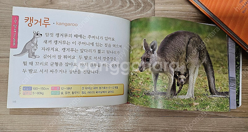 (유아책) 어린이첫동물사전 & 사막동물백과--2