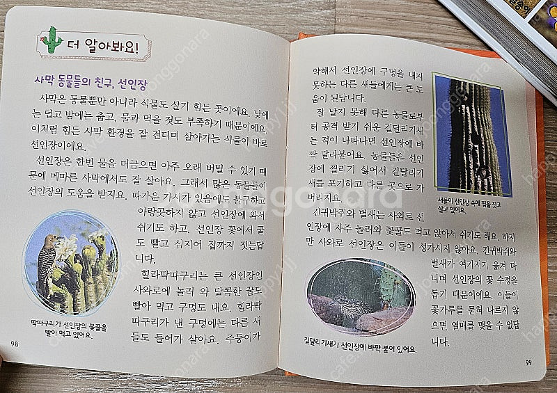 (유아책) 어린이첫동물사전 & 사막동물백과--5