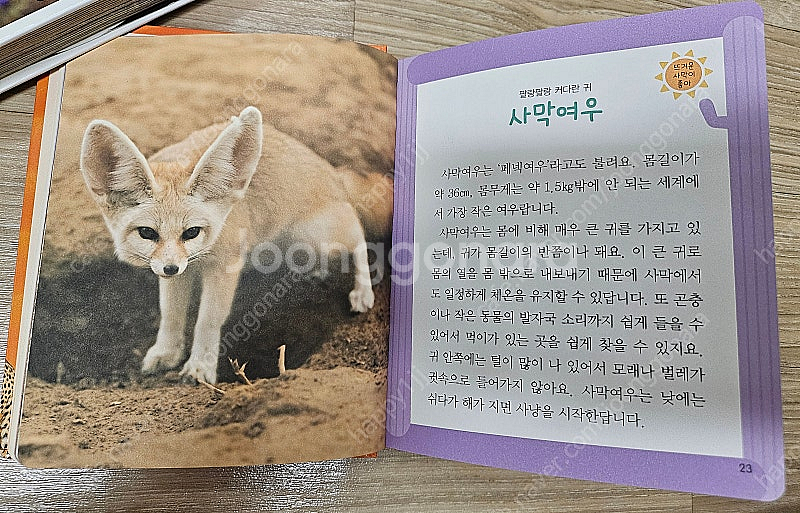 (유아책) 어린이첫동물사전 & 사막동물백과--6
