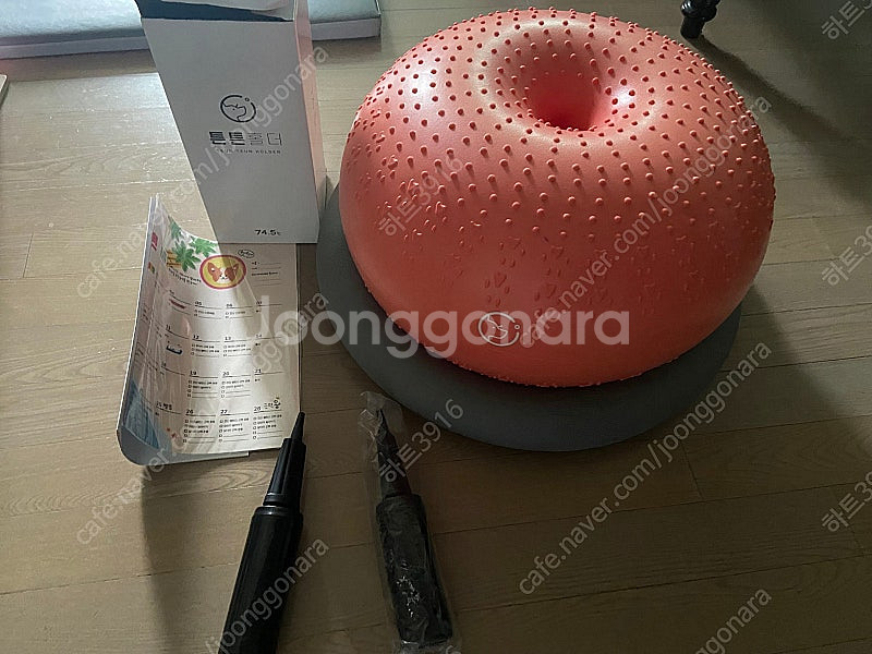 택포함~튼튼짐볼 반려견--0