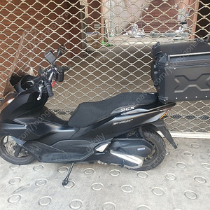 부천 pcx 2024년식 4250km