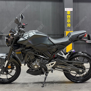 24년식 혼다 CB300 R 블랙 판매합니다.