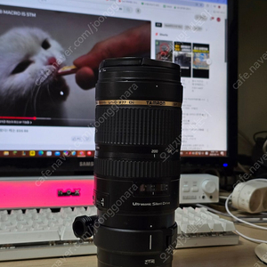 탐론 70-200vc 탐아빠 구탐아빠 탐령 구탐령 탐론 sp 70-200mm f2.8 di vc usd