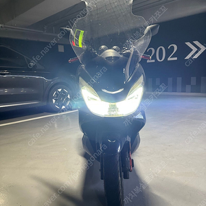 pcx 묻따65만