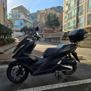 혼다 pcx 23년식 5614km 판매.