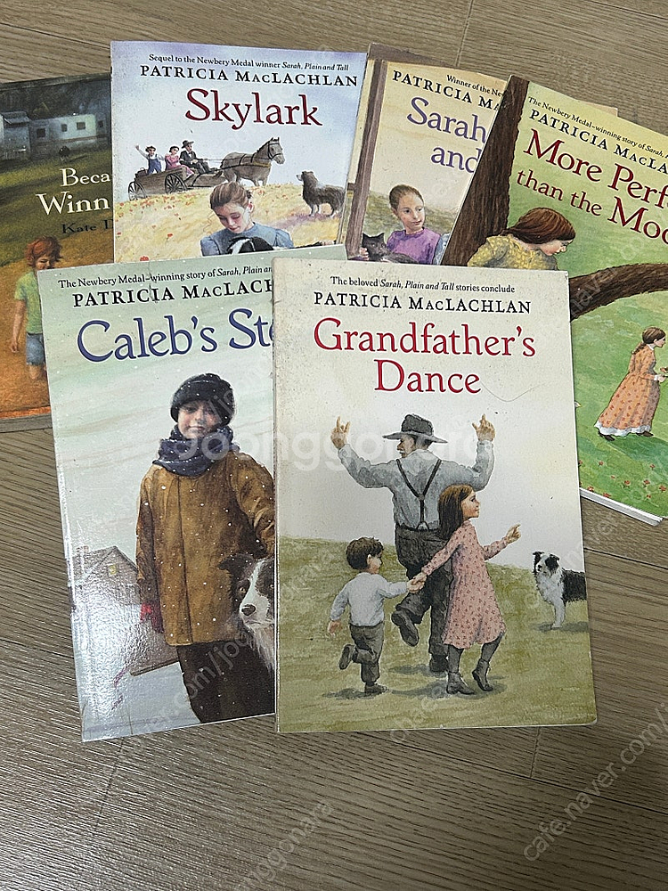 SARAH, PALIN AND TALL 6권--0