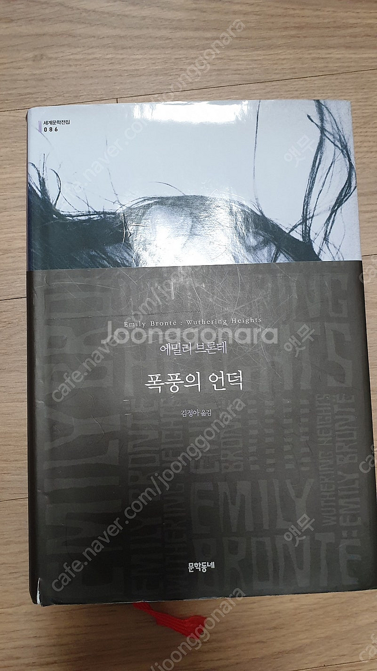 제인에어 더부스 특별판 + 폭풍의 언덕--6