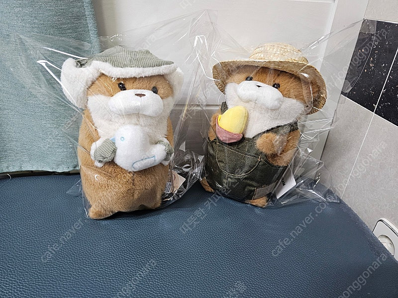 꽁꽁 우소우소짱 중형 인형 새거 팔아요 이미지