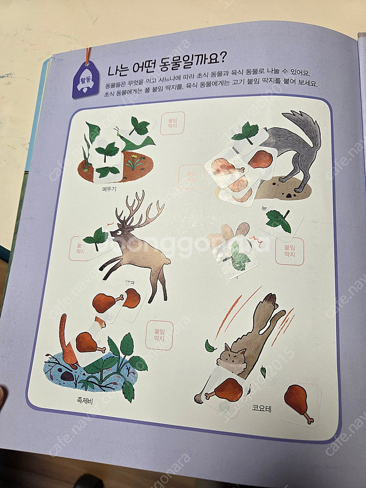 과학특공대53권(실험키트포함)--2