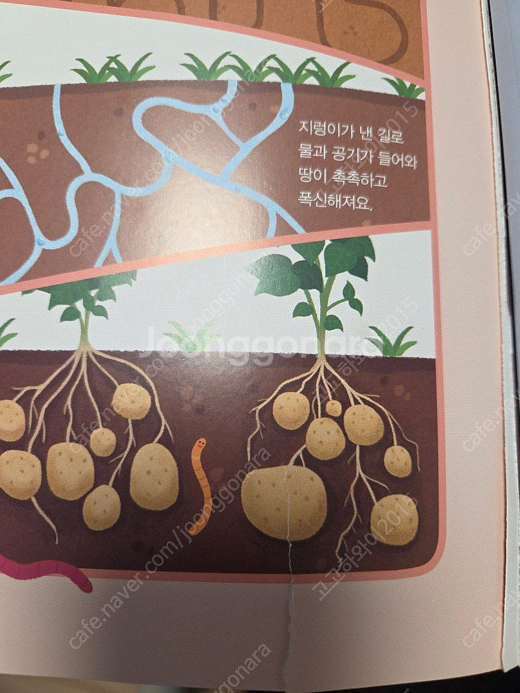 과학특공대53권(실험키트포함)--6