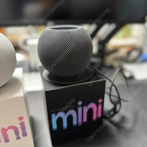 애플 HomePod mini 스페이스그레이