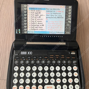 누리안 전자사전 X10