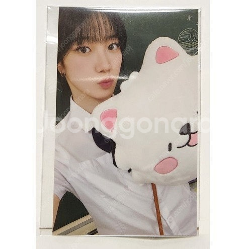 르세라핌 핌즈클럽 굿즈 일괄 판매(포트카드 포함)--5