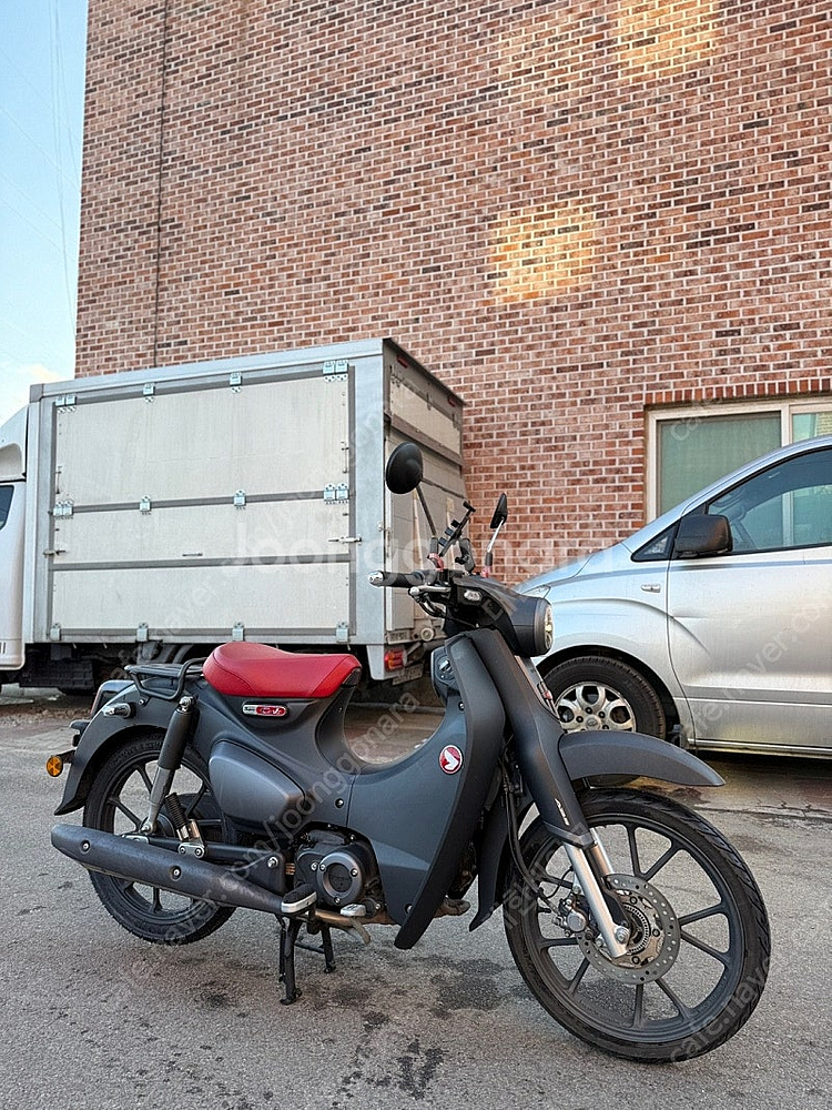 [신차보증]혼다 슈퍼커브 C125 22년식 1만KM 맷...--0
