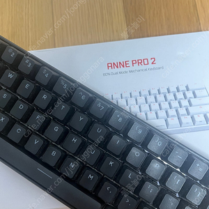 Anne pro 2 체리적축