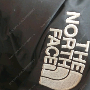 North face 900노스페이스 패딩 오리털 방수