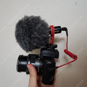 RODE VideoMicro 로데 비디오 카메라 마이크 (박스풀)
