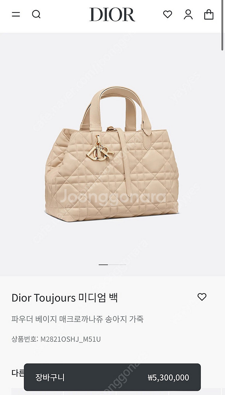 디올 뚜주흐 미듐 파우더베이지 (선물가능 새상품)--0
