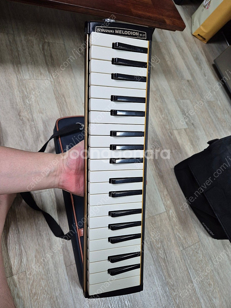 Suzuki Melodion M-37 (스즈키 멜로디언...--1