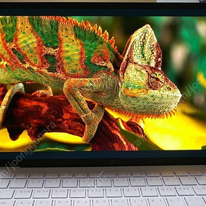 [판매]LG 2023 그램 스타일14/램16G,OLED