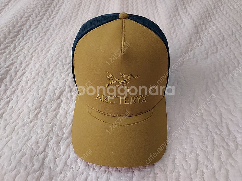 아크테릭스 Logo Trucker HAT--0