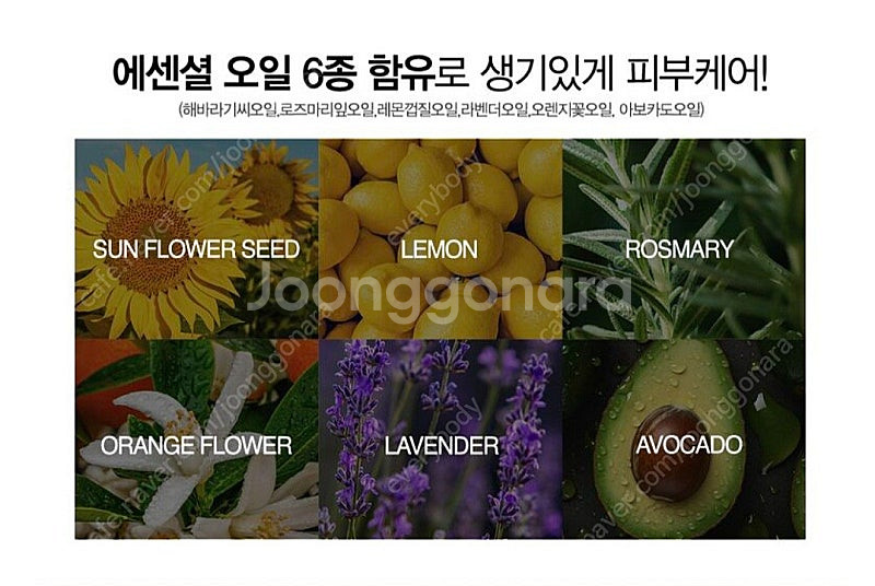 캐롤프랑크 리스트럭처링세럼(택배포함)--4