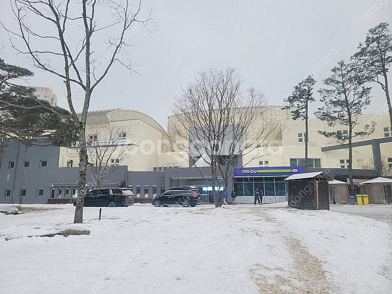 휘닉스파크 평창 2월16일 스탠다드 20평--0