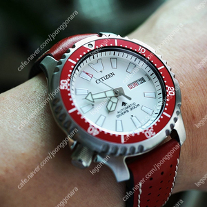 CITIZEN FUGU (NY0097-87A) 한정판