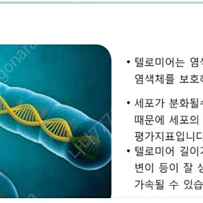 십원빵4구