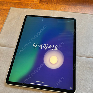 iPad Pro 12.9 inch (4th) 아이패드프로13인치 4세대 와이파이+셀룰러 128GB