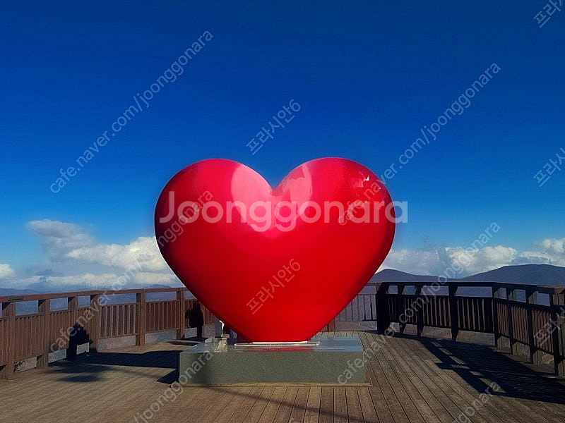 (오늘) 하이원 마운틴콘도 60평 오늘가실분!--0
