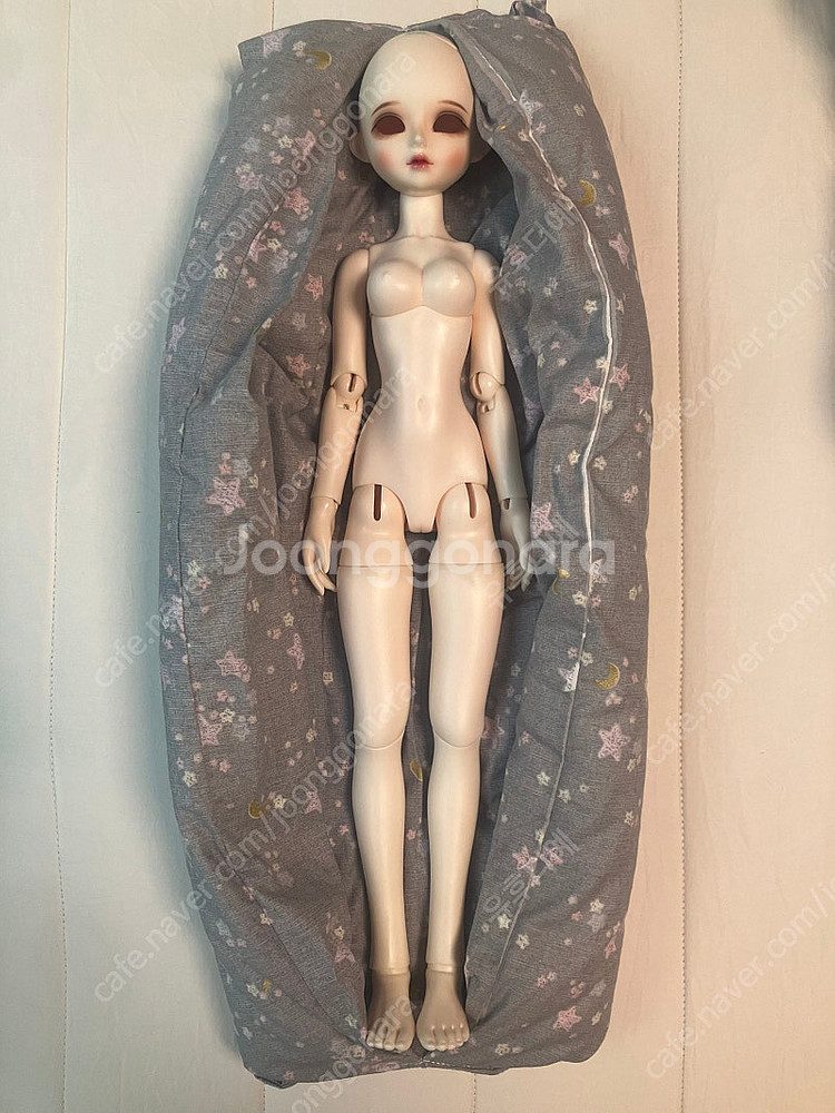 구체관절인형 쎄이렌 I.자두 헤드, 바디 처분--1