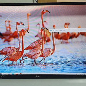 LG LED TV 28인치 판매