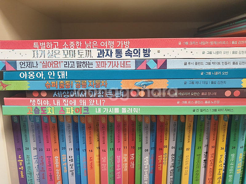 키즈스콜레 사파리 외--7