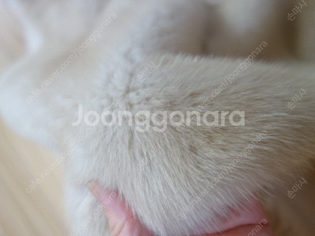 마인밍크조끼&랑방캐시니트&마인구스패딩--9