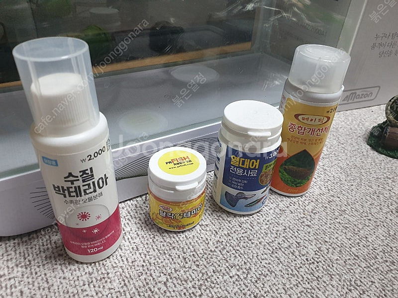 아마존 일체형 디지털 어항 수족관 용품 사료 포함(은평...--3