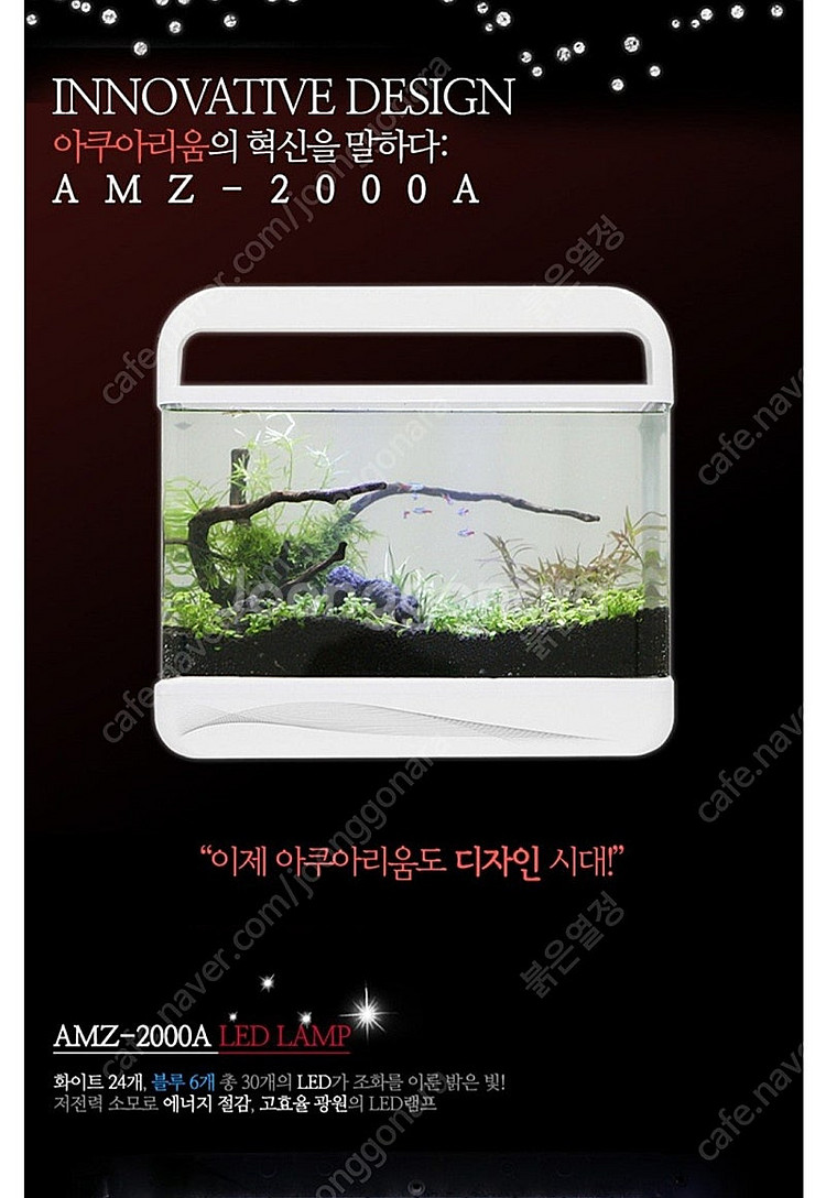 아마존 일체형 디지털 어항 수족관 용품 사료 포함(은평...--5