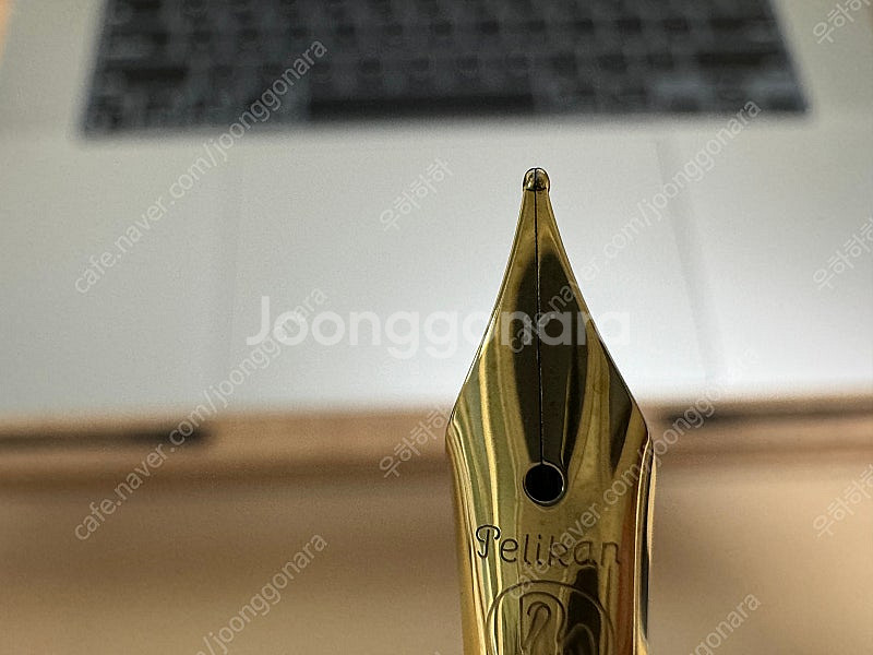 펠리칸 M200 파스텔블루 F--2