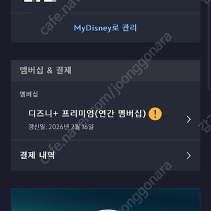 디즈니플러스 1년팟