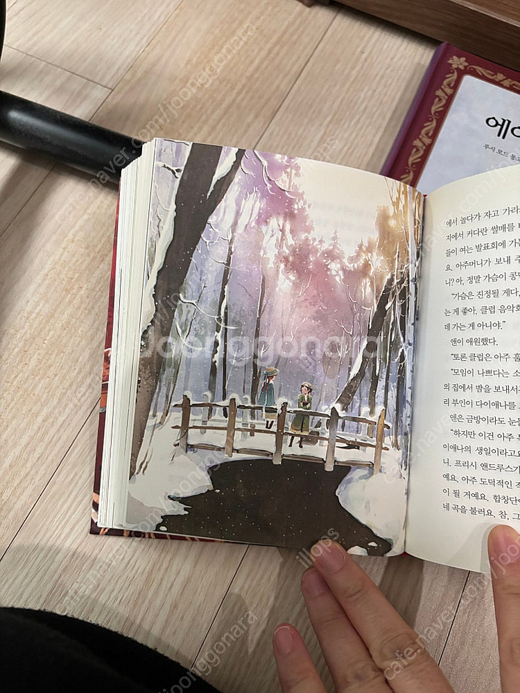 빨간 머리앤 -4 권( 일러스트 본2 권, 에니 이후 ...--1