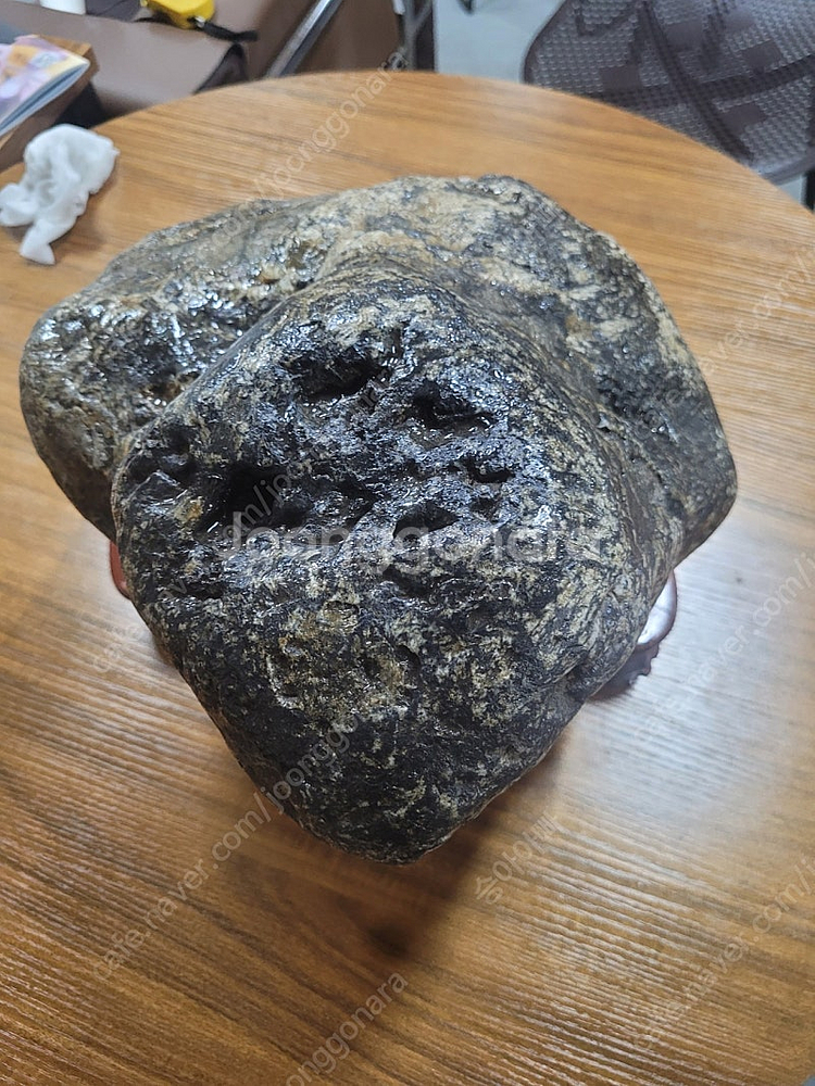 기물 호피석 알품은 두꺼비 금강호피 진안 정천산 국회의...--1