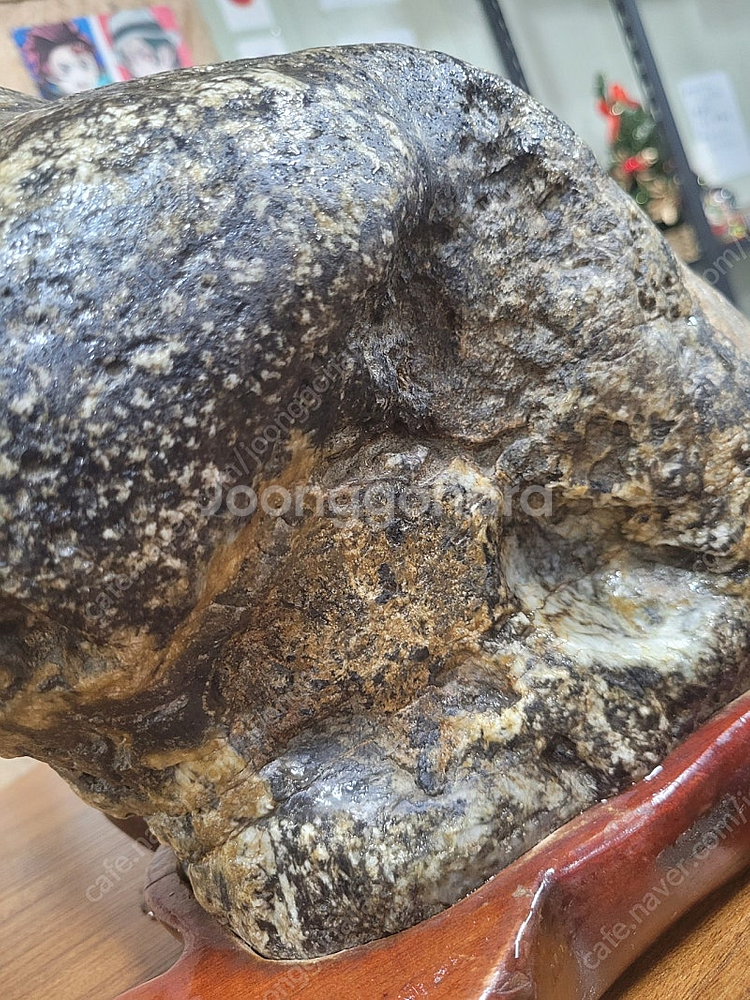 기물 호피석 알품은 두꺼비 금강호피 진안 정천산 국회의...--4