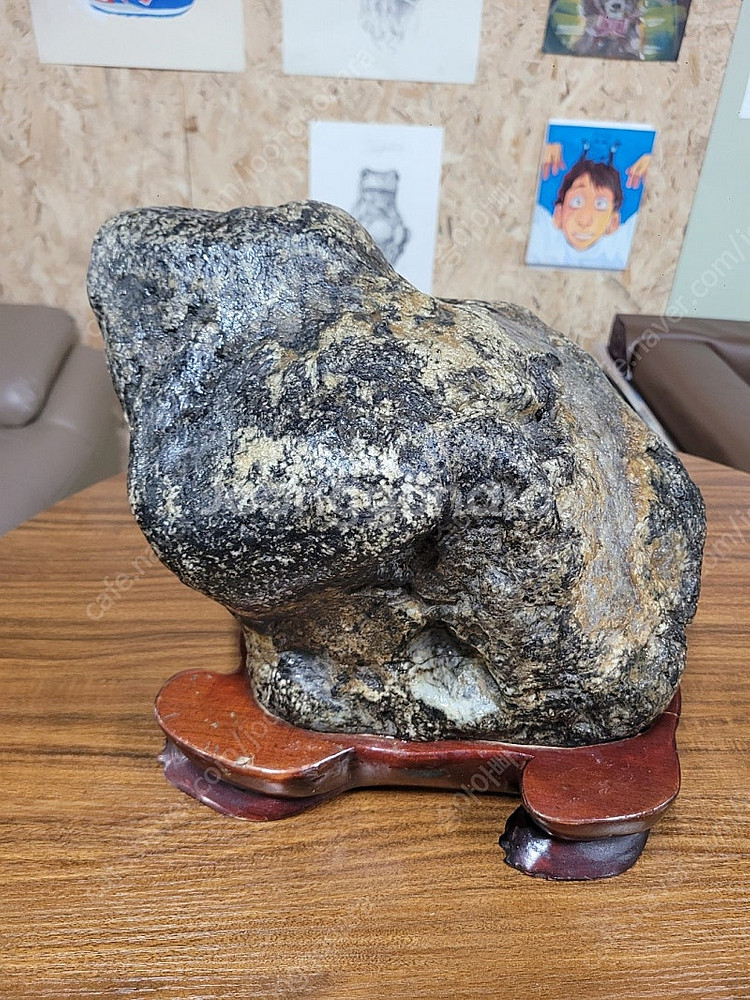 기물 호피석 알품은 두꺼비 금강호피 진안 정천산 국회의...--5