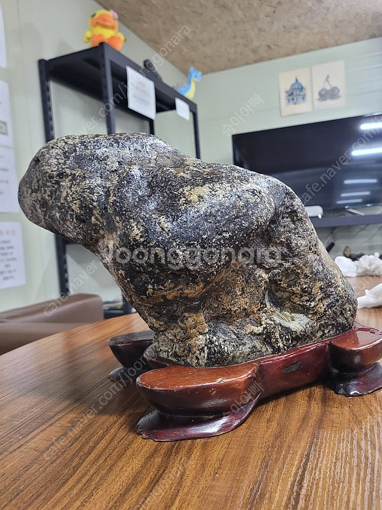 기물 호피석 알품은 두꺼비 금강호피 진안 정천산 국회의...--8