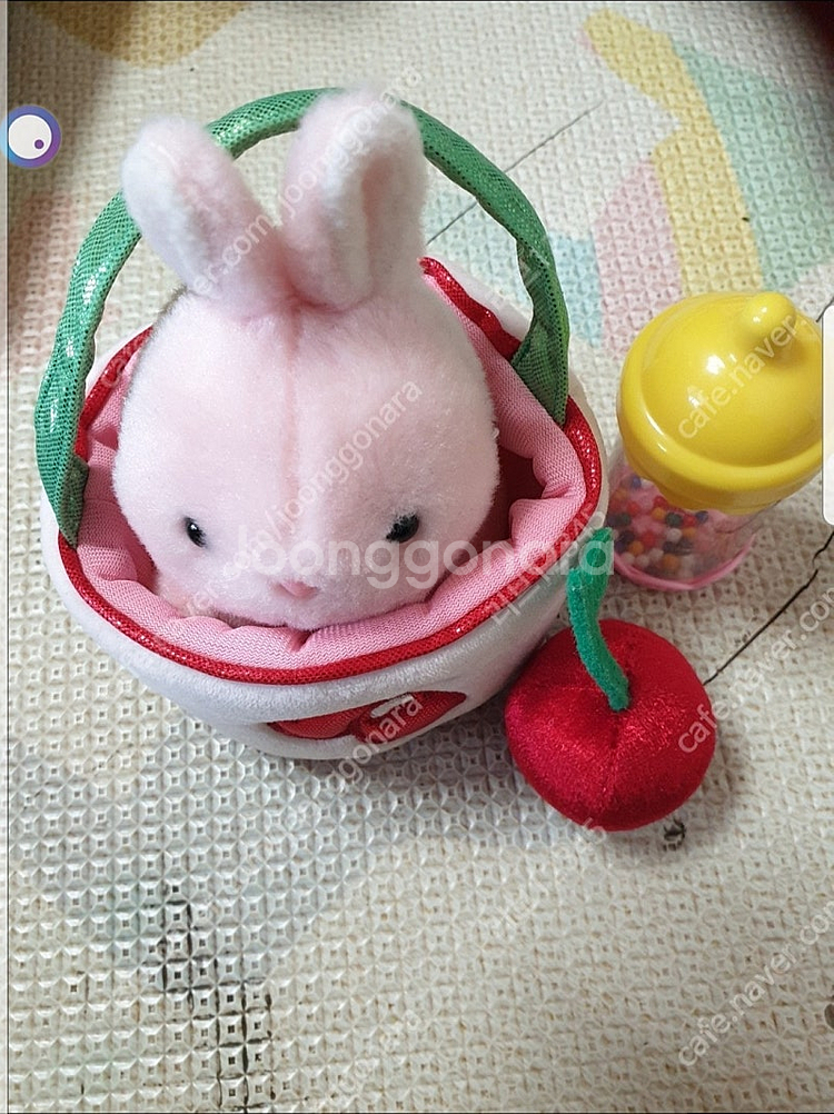 토끼인형--0