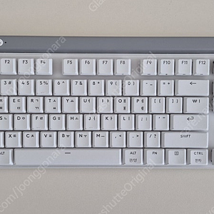 로지텍G G515 LIGHTSPEED TKL 화이트 적축팝니다.