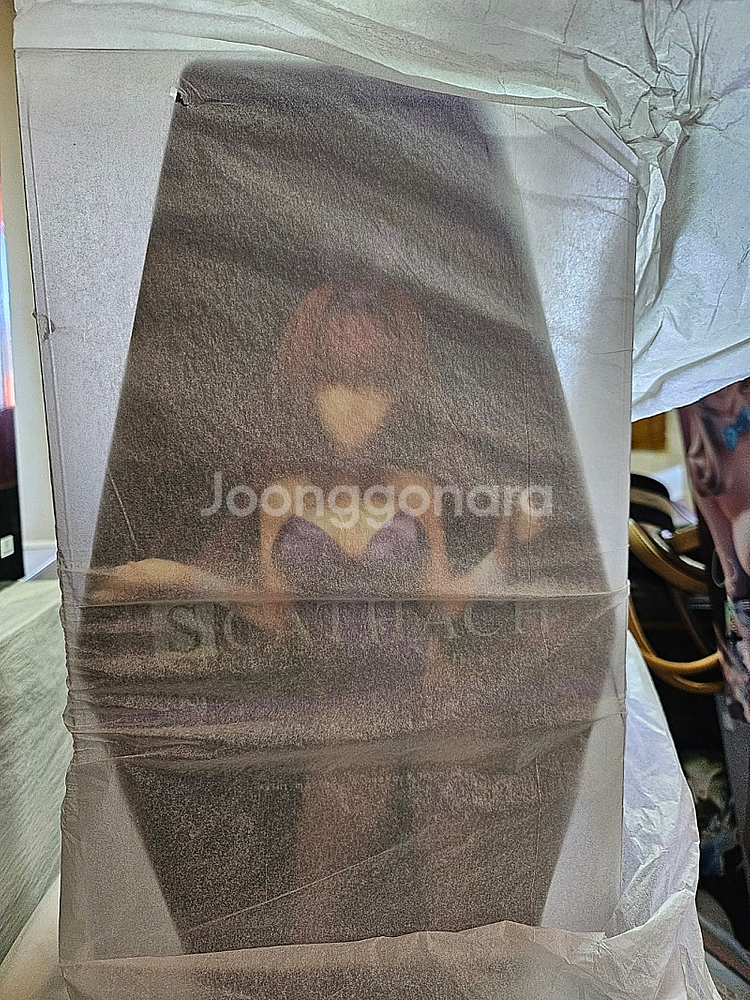 알터 1/7 페이트 그랜드 오더 스카사하 찔러 뚫는 바...--0