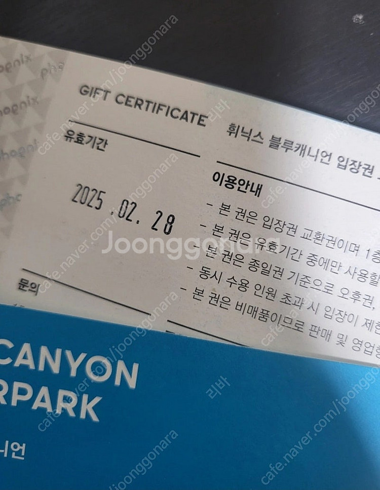 휘닉스파크 블루캐니언 장당3만원--1